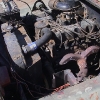 mitz-18.jpg
