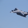 img_1201.jpg